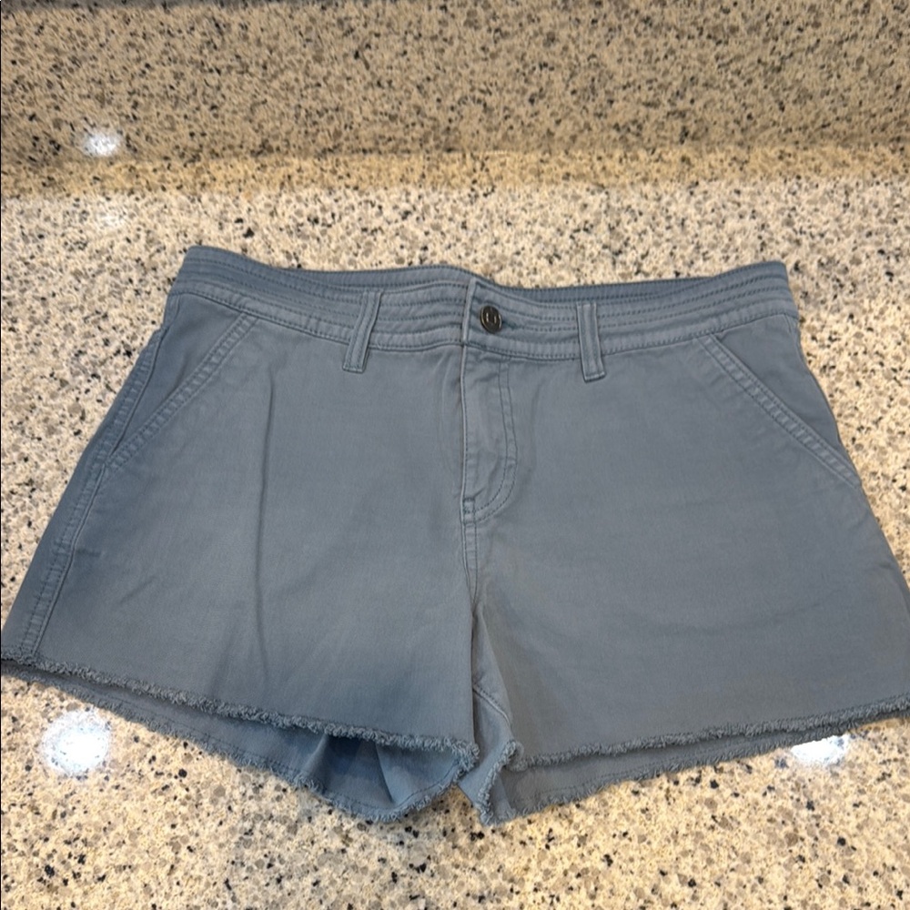 Prana Blue Cargo Shorts Relaxed Fit
